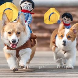 Cosplay Western Cowboy Riding Costumes, Funny Pet Costumes, Dog Apparel, Halloween Clothes, Jacket, Cloak, Dog Accessories